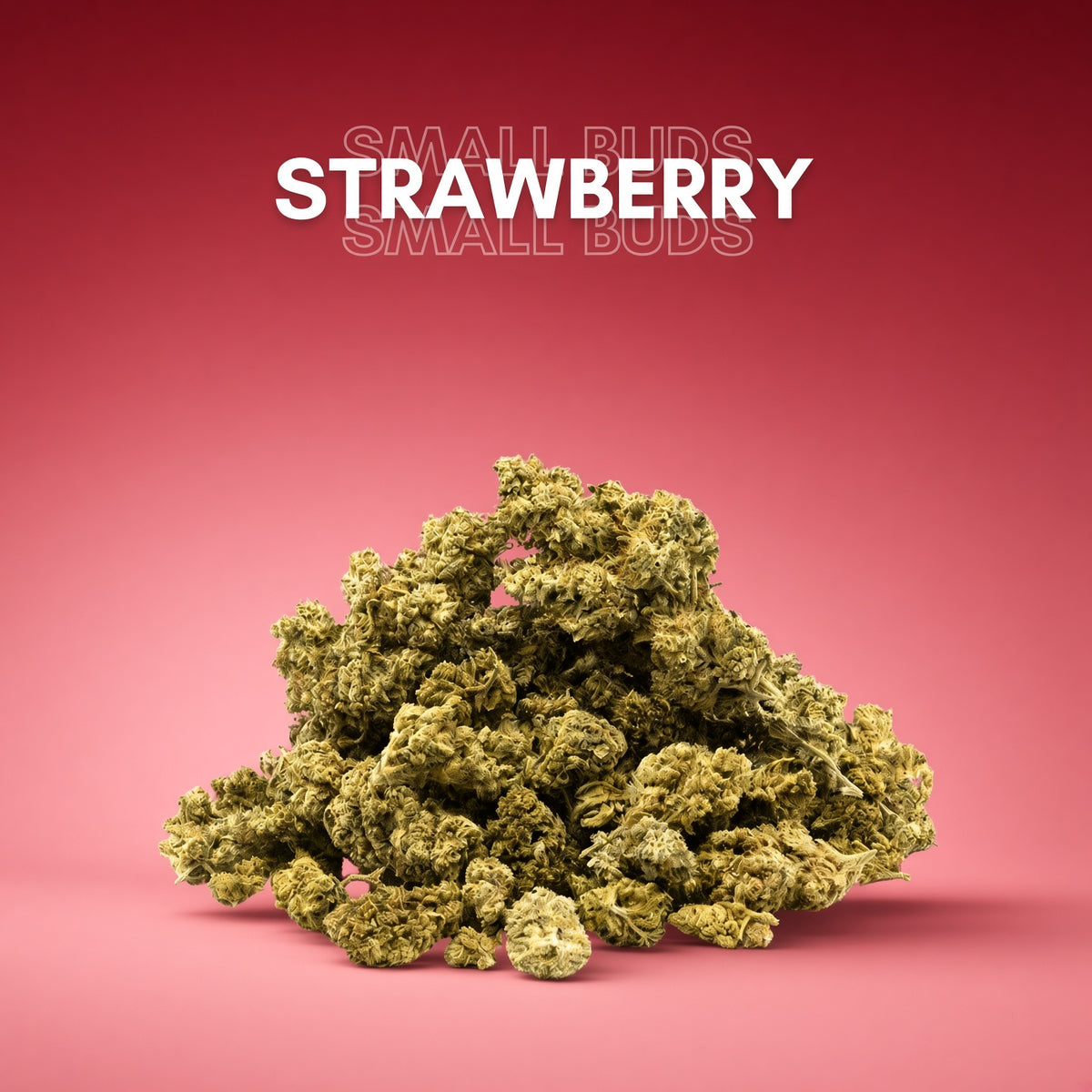 Small buds Strawberry