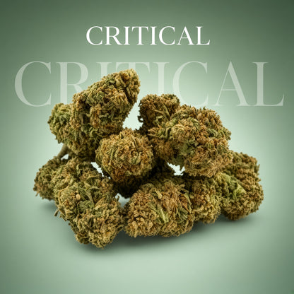 Critical