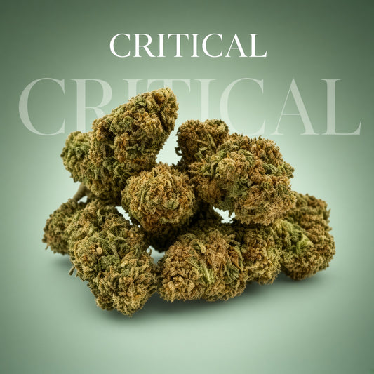 Critical