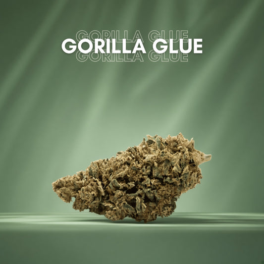 Fleurs de CBD Gorilla Glue – Greenhouse