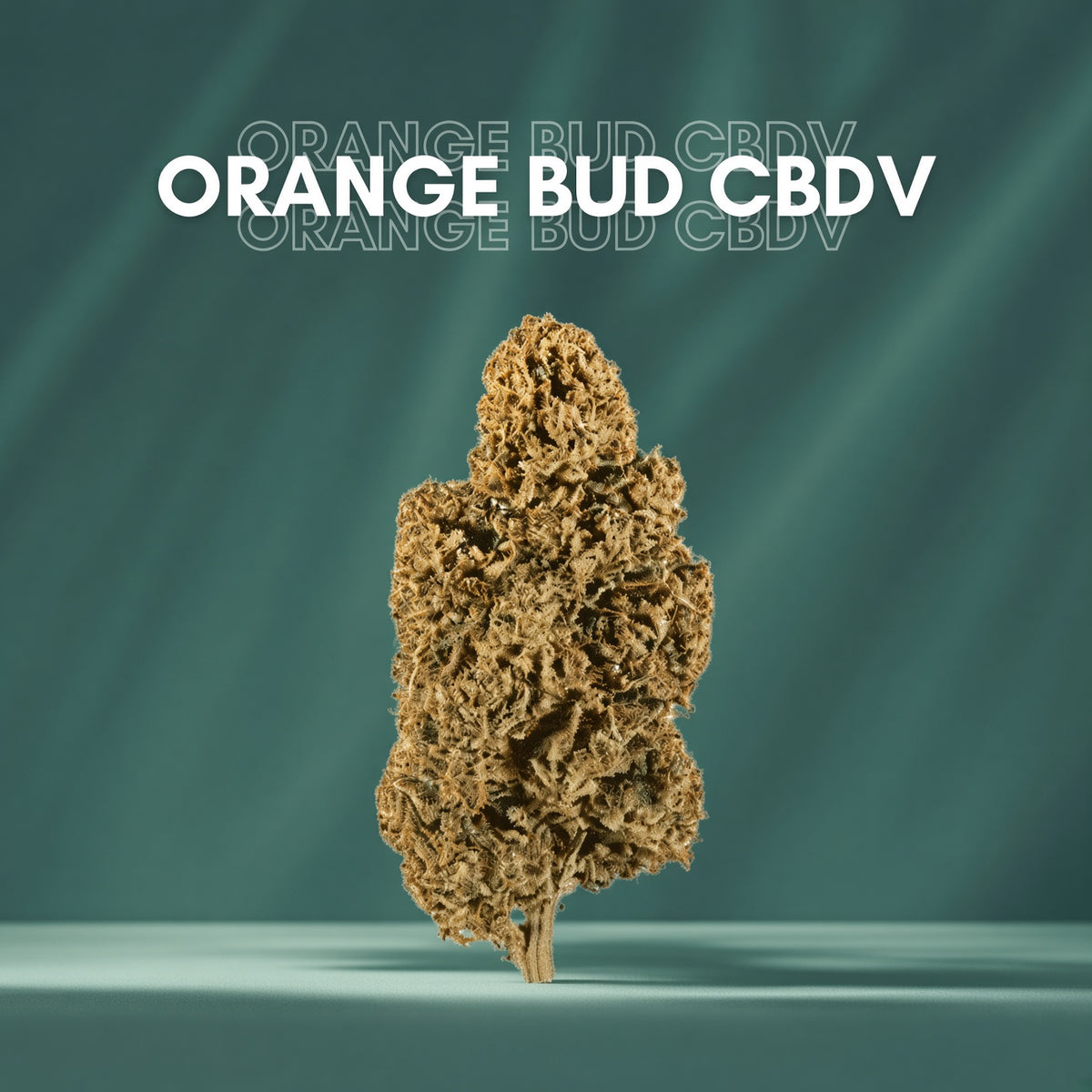 Fleurs CBD Orange bud
