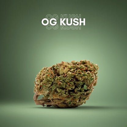 Fleurs CBD Lemon Haze – Greenhouse